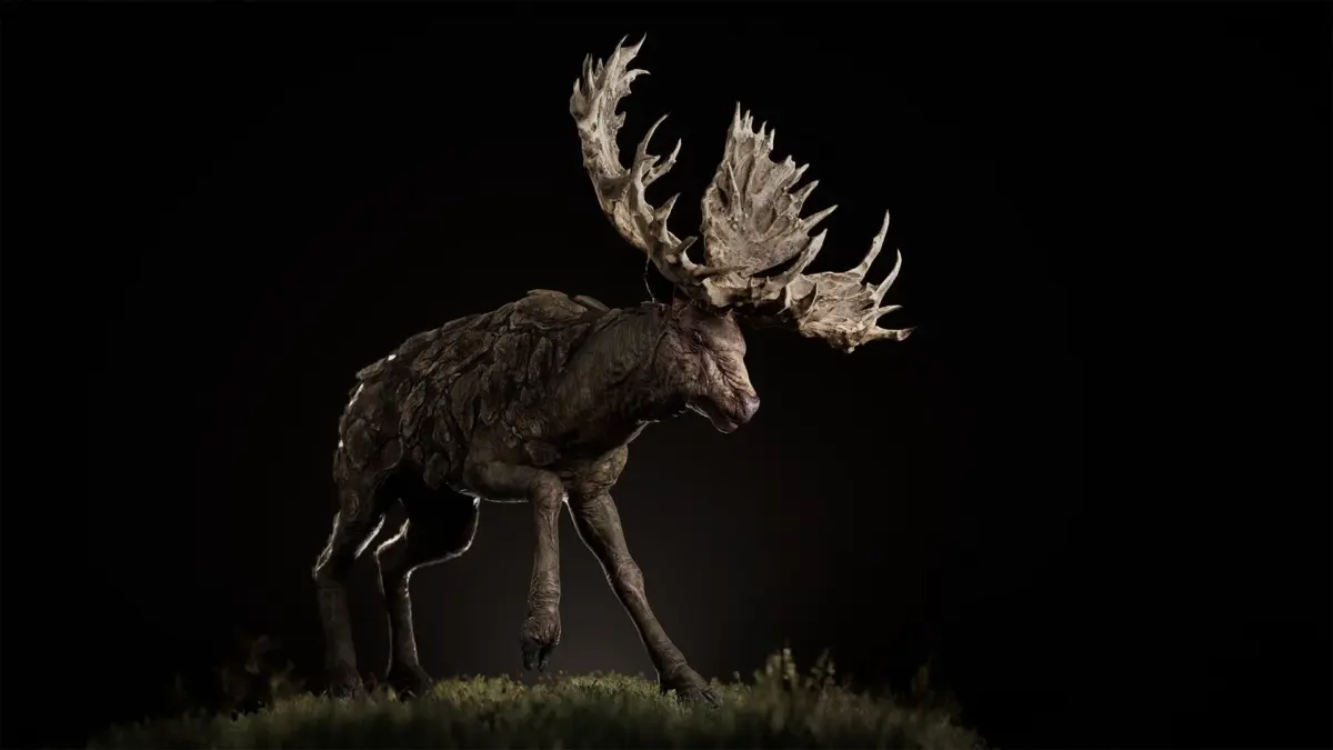 シュードディア