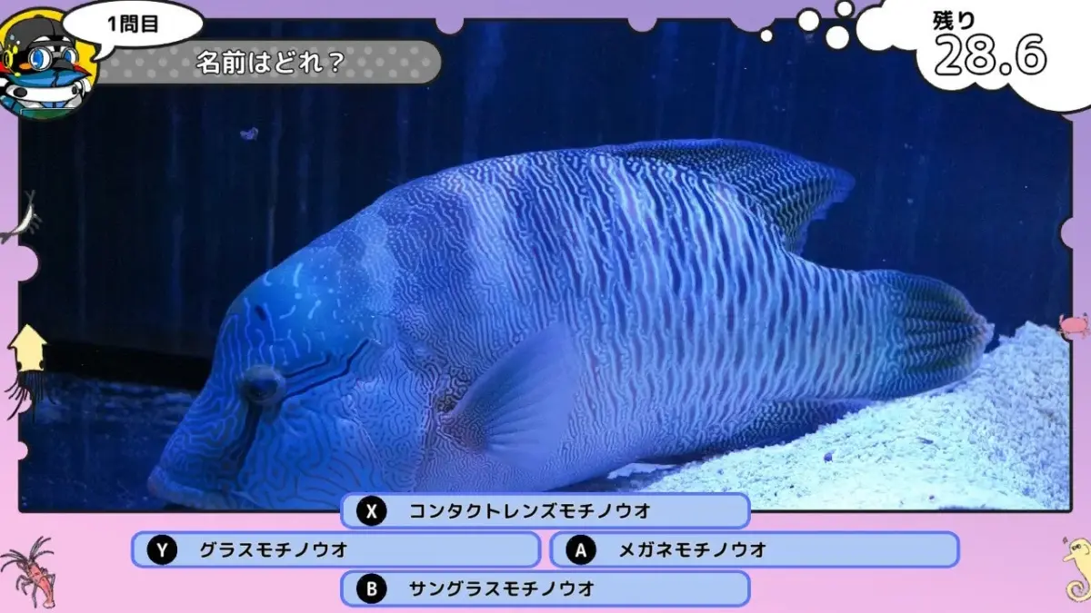 魚に関するクイズ