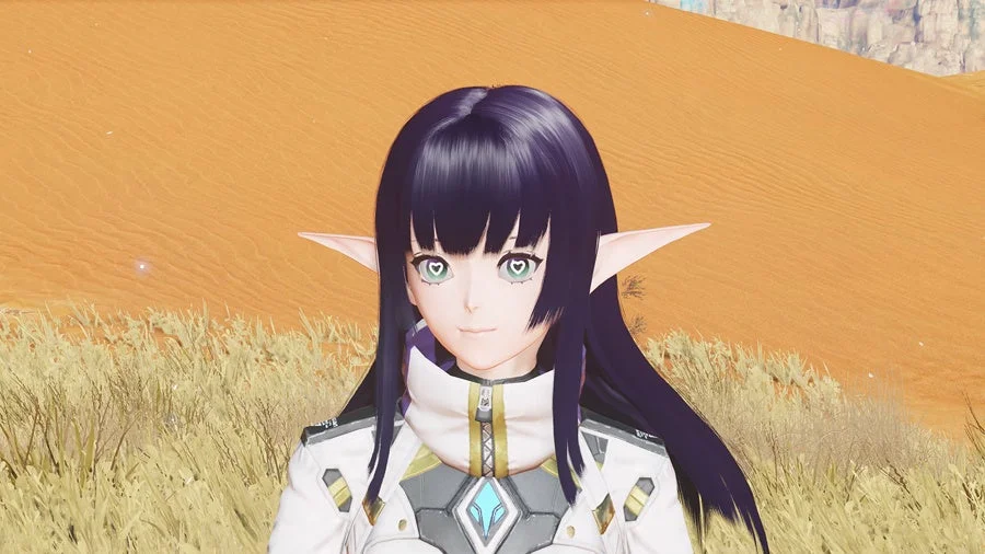 アニメ,ゲームキャラクター,エルフ,ファンタジー,砂漠,女性,黒髪,ハートの瞳,SF,衣装,バーチャル