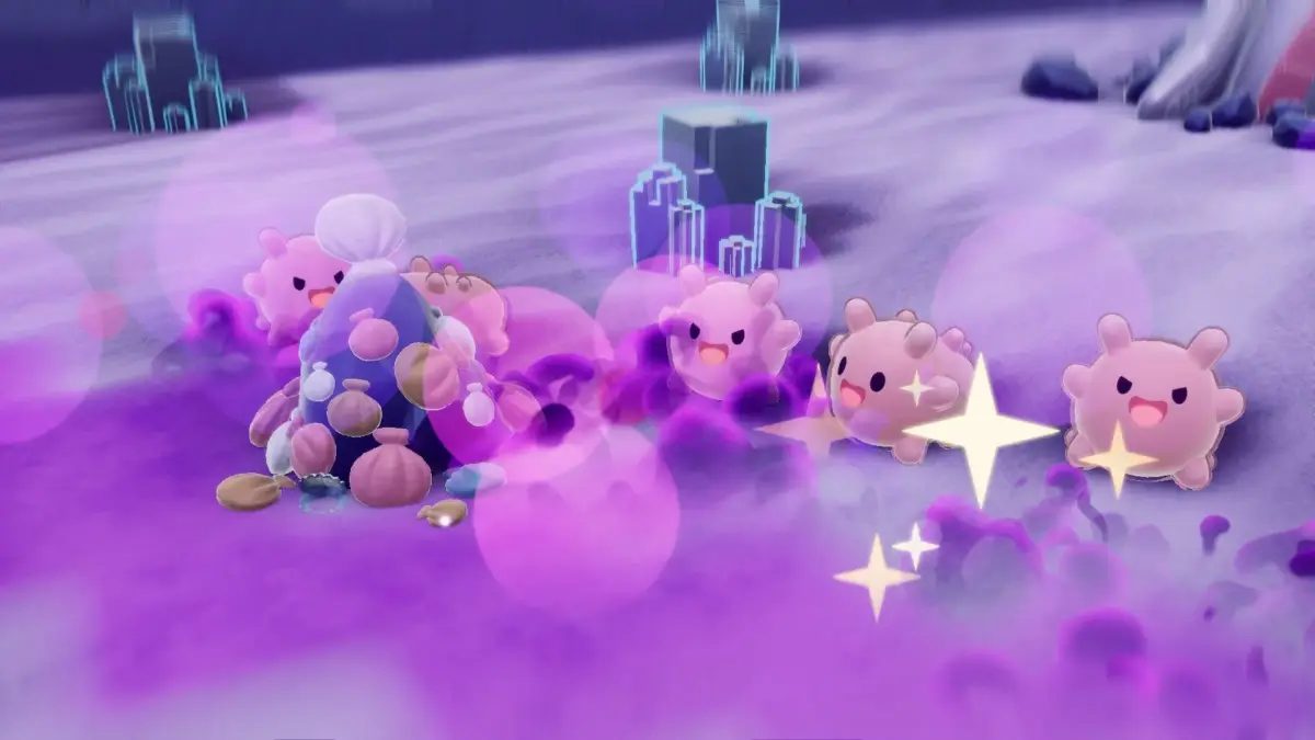 きらめくナマコたち