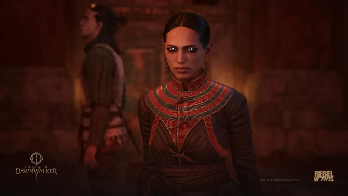 ゲームプレイ映像