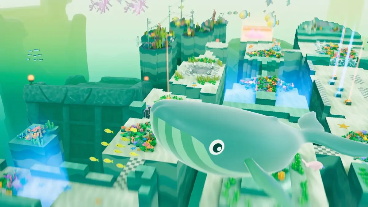 鑑賞生物クジラ