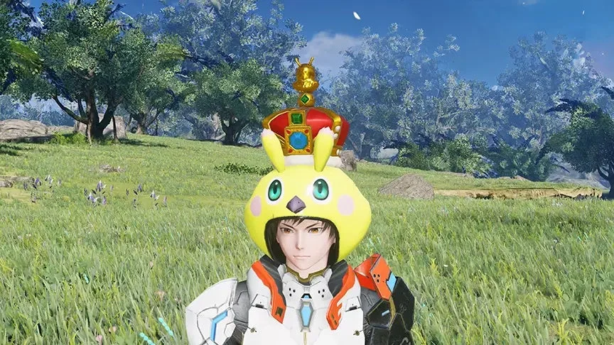 ゲーム,キャラクター,アバター,ファンタジー,うさぎ帽子,王冠,草原,アウトドア,コスチューム,可愛い,PSO2NGS,ファンタシースターオンライン2ニュージェネシス