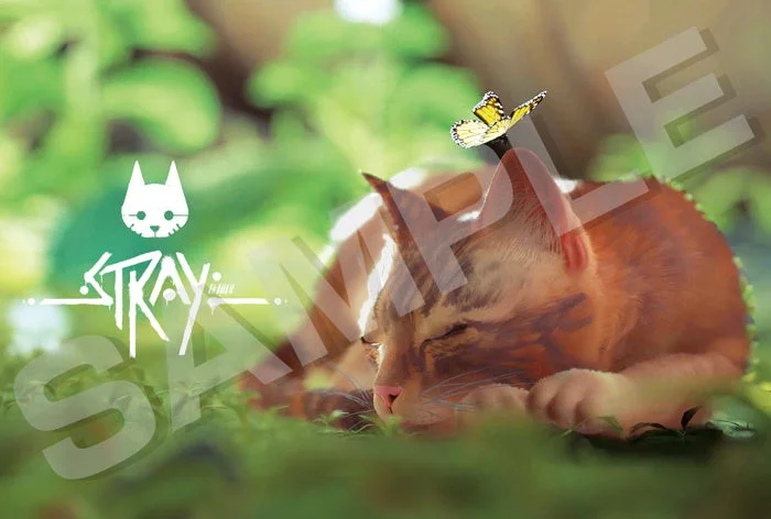 Stray 猫と蝶