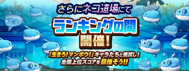 ランキングイベント「おさかな天国」の告知